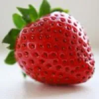 Саженцы клубники Сан Андреас